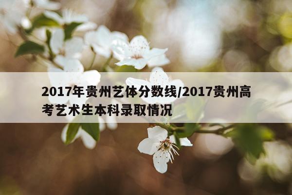 2017年贵州艺体分数线/2017贵州高考艺术生本科录取情况