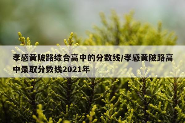 孝感黄陂路综合高中的分数线/孝感黄陂路高中录取分数线2021年