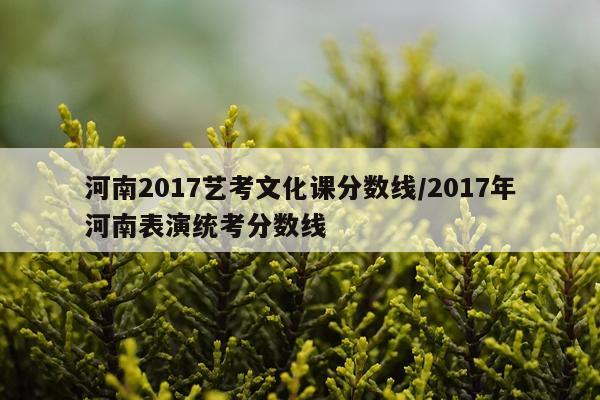 河南2017艺考文化课分数线/2017年河南表演统考分数线