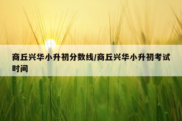 商丘兴华小升初分数线/商丘兴华小升初考试时间