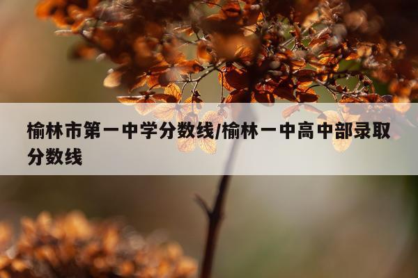 榆林市第一中学分数线/榆林一中高中部录取分数线