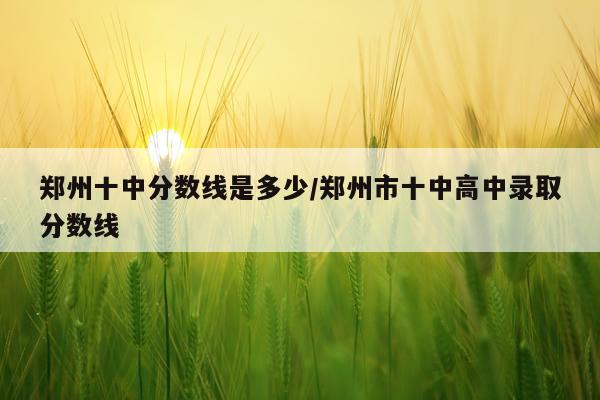 郑州十中分数线是多少/郑州市十中高中录取分数线
