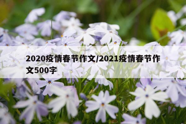 2020疫情春节作文/2021疫情春节作文500字