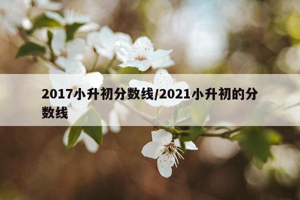 2017小升初分数线/2021小升初的分数线