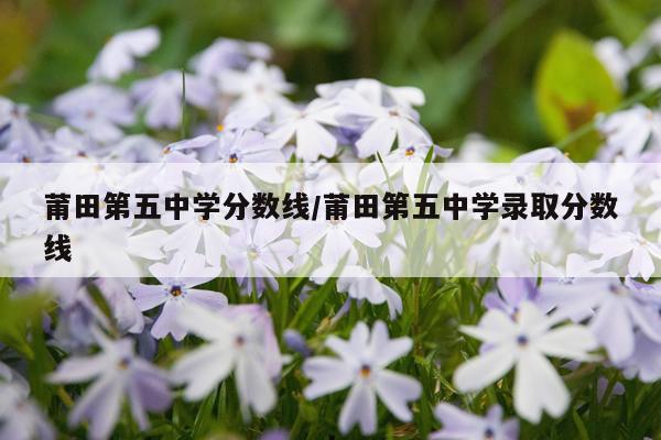 莆田第五中学分数线/莆田第五中学录取分数线