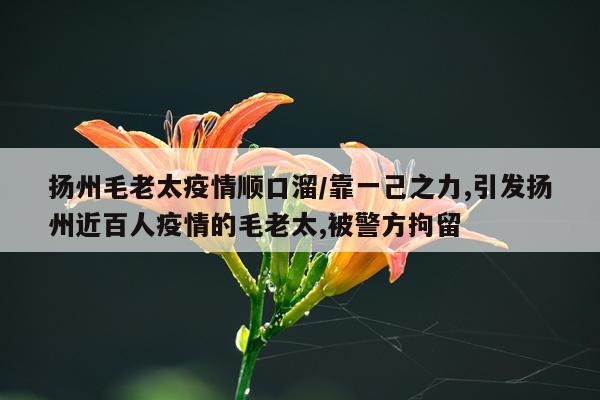 扬州毛老太疫情顺口溜/靠一己之力,引发扬州近百人疫情的毛老太,被警方拘留