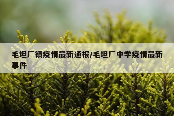 毛坦厂镇疫情最新通报/毛坦厂中学疫情最新事件