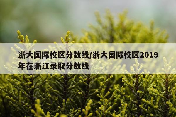 浙大国际校区分数线/浙大国际校区2019年在浙江录取分数线