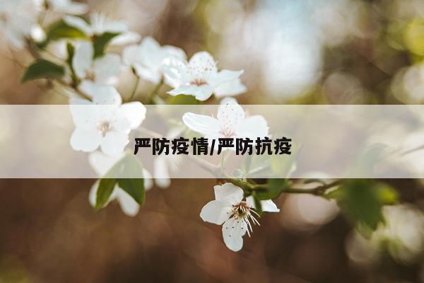 严防疫情/严防抗疫