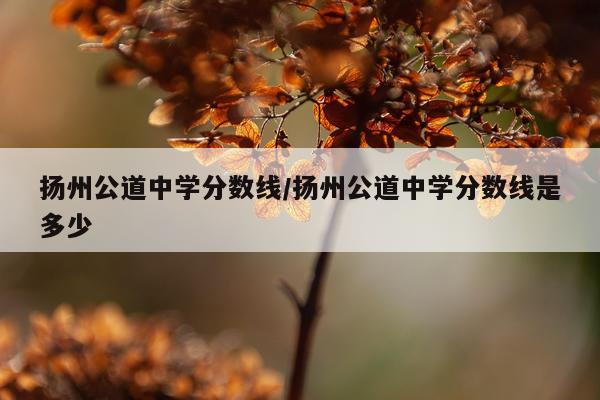 扬州公道中学分数线/扬州公道中学分数线是多少