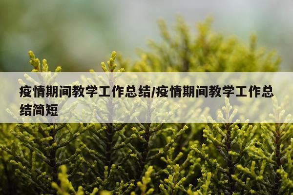 疫情期间教学工作总结/疫情期间教学工作总结简短