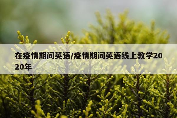 在疫情期间英语/疫情期间英语线上教学2020年