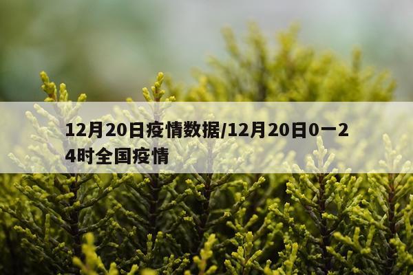 12月20日疫情数据/12月20日0一24时全国疫情