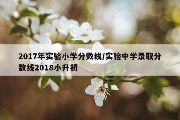 2017年实验小学分数线/实验中学录取分数线2018小升初