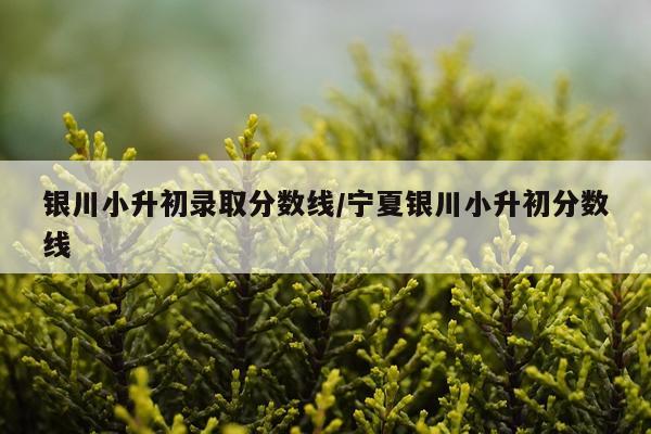 银川小升初录取分数线/宁夏银川小升初分数线