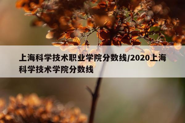 上海科学技术职业学院分数线/2020上海科学技术学院分数线