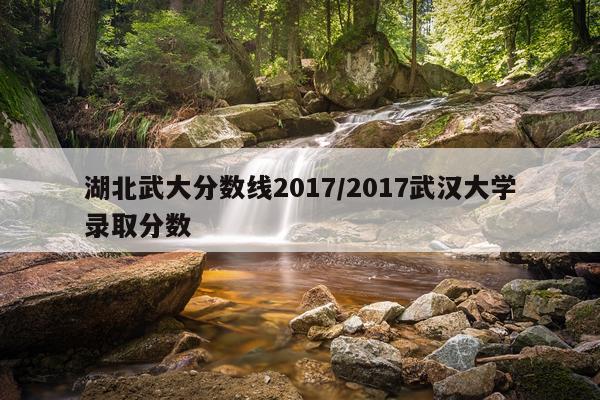 湖北武大分数线2017/2017武汉大学录取分数