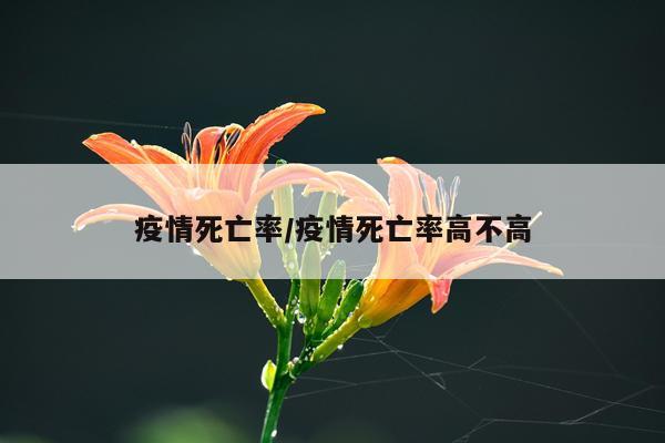 疫情死亡率/疫情死亡率高不高