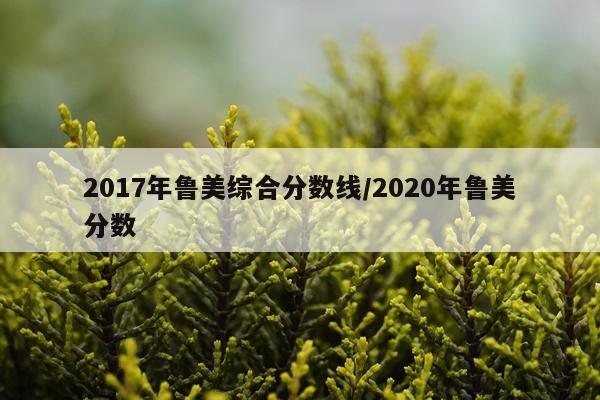 2017年鲁美综合分数线/2020年鲁美分数