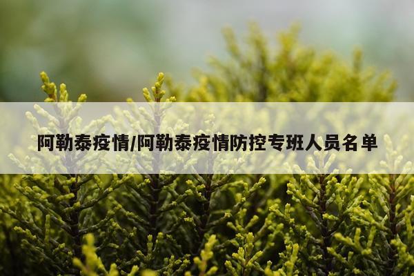 阿勒泰疫情/阿勒泰疫情防控专班人员名单