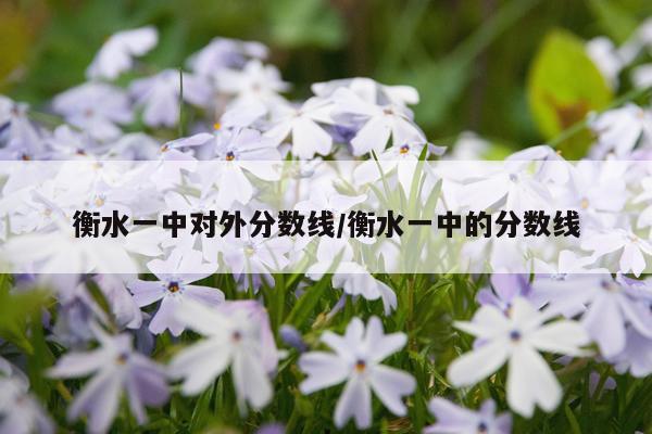 衡水一中对外分数线/衡水一中的分数线