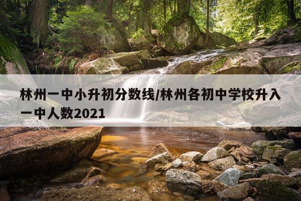 林州一中小升初分数线/林州各初中学校升入一中人数2021