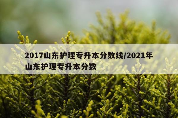 2017山东护理专升本分数线/2021年山东护理专升本分数