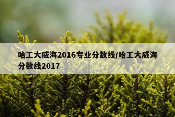 哈工大威海2016专业分数线/哈工大威海分数线2017