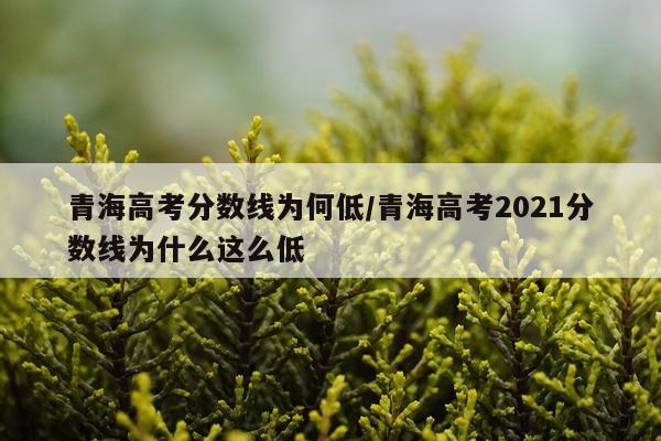 青海高考分数线为何低/青海高考2021分数线为什么这么低