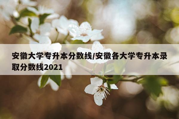 安徽大学专升本分数线/安徽各大学专升本录取分数线2021