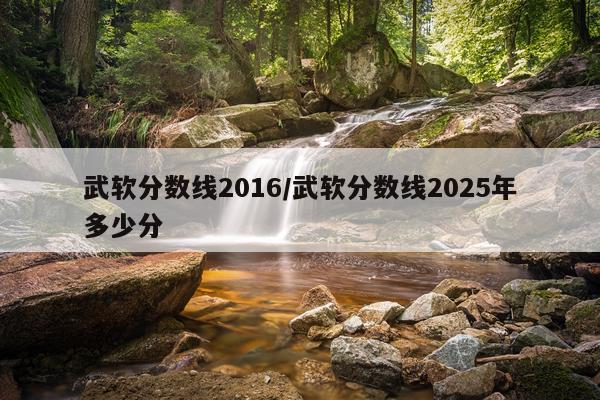 武软分数线2016/武软分数线2025年多少分