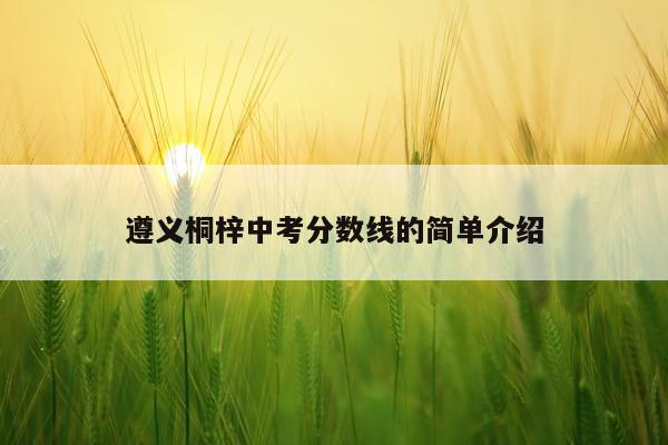 遵义桐梓中考分数线的简单介绍