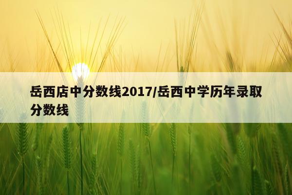 岳西店中分数线2017/岳西中学历年录取分数线
