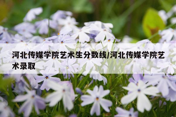 河北传媒学院艺术生分数线/河北传媒学院艺术录取