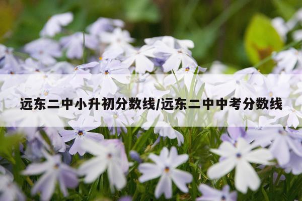 远东二中小升初分数线/远东二中中考分数线