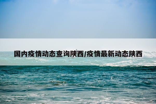 国内疫情动态查询陕西/疫情最新动态陕西
