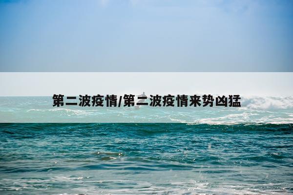 第二波疫情/第二波疫情来势凶猛