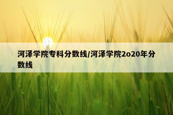 河泽学院专科分数线/河泽学院2o20年分数线