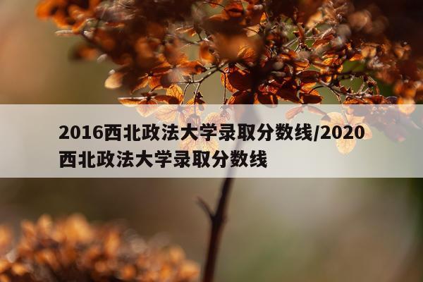 2016西北政法大学录取分数线/2020西北政法大学录取分数线