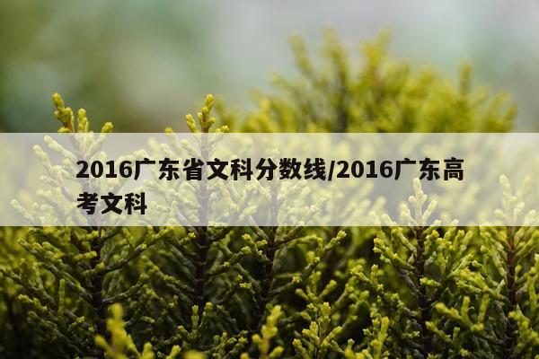 2016广东省文科分数线/2016广东高考文科