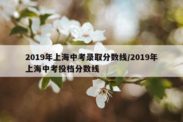 2019年上海中考录取分数线/2019年上海中考投档分数线