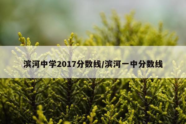 滨河中学2017分数线/滨河一中分数线