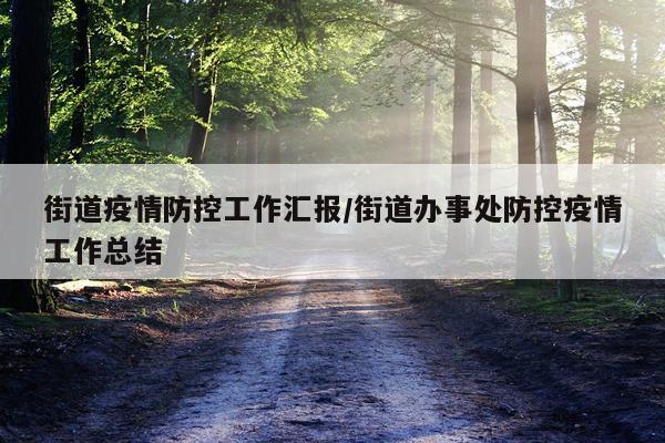 街道疫情防控工作汇报/街道办事处防控疫情工作总结
