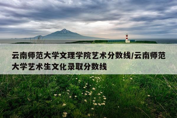 云南师范大学文理学院艺术分数线/云南师范大学艺术生文化录取分数线