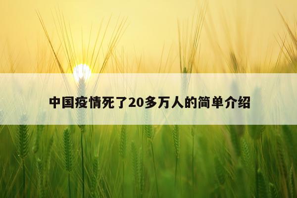 中国疫情死了20多万人的简单介绍