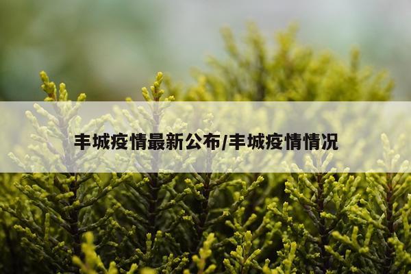 丰城疫情最新公布/丰城疫情情况