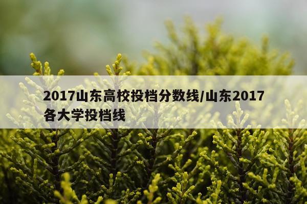 2017山东高校投档分数线/山东2017各大学投档线