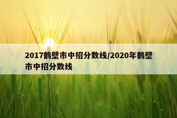 2017鹤壁市中招分数线/2020年鹤壁市中招分数线