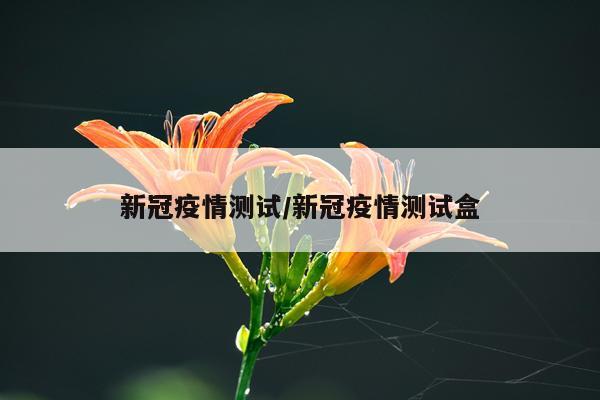 新冠疫情测试/新冠疫情测试盒