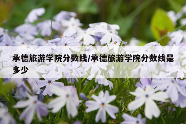 承德旅游学院分数线/承德旅游学院分数线是多少